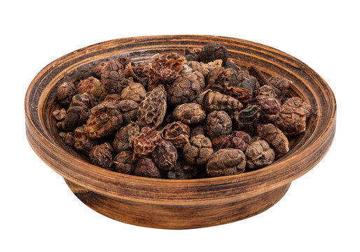 Bustard cardamom, Tavoy cardamom or Amomum villosum dried fruits on transparent background.