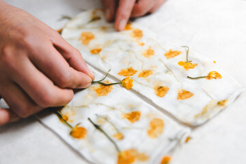 Obraz na płótnie Canvas Close up of a textile artist hands doing botanical print on natural fiber clothing. Artistic natural flower dye on socks
