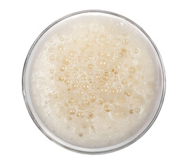 Glass of beer with bubble isolated on white, top view