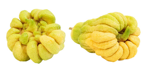 Buddha’s fingers or citrus medica fruits on transparent background.