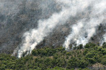 Aerial view of wildfire with smoke rising from burnt vegetation, ideal for environmental issues.