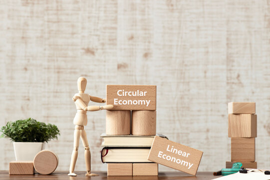 There is wood block with the word Circular Economy or Linear Economy. It is as an eye-catching image.