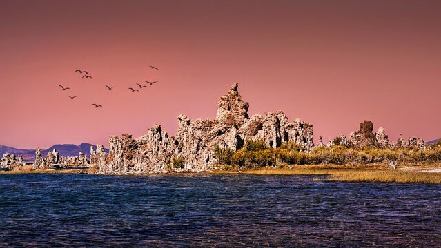 Mono Lake, shore with tufa in bizarre shapes, evening sky, flock of birds, Lee Vining, Mono Lake Tufa Nature Reserve, California, USA, North America