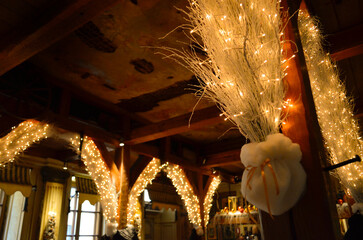 Christmas light 