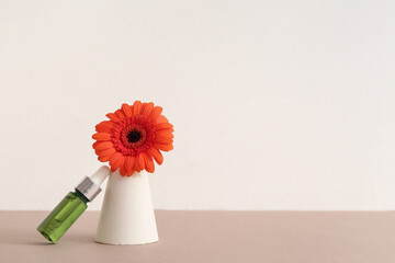 Composition with bottle of essential oil, plaster podium and beautiful gerbera flower on color...