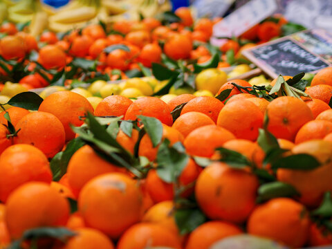 Group of orange fruits close-up in street market stall. High quality photo