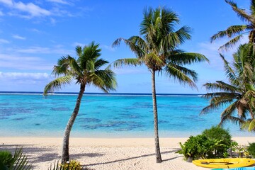 Rarotonga coconut two palms paradise beach white