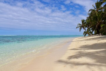 Rarotonga coconut palm paradise great beach white