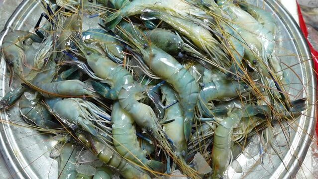 Big-size Golda Chingri (Shrimps) kept on a silver plate for sale in the local fish market.