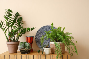 Green plants with drum on commode near beige wall