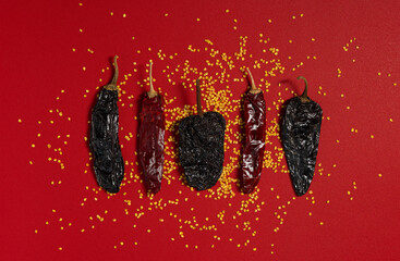 Dried Chilis and Seeds on Red background, variety mexican spice flat lay