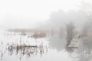 Foggy wetland with cattails and a dock leading to the water. Atmospheric look at a mysterious rural waterway on an island in the Pacific Northwest.