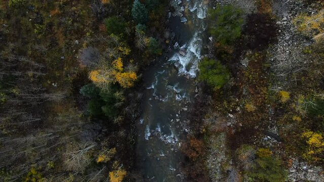 Cinematic drone aerial 4wd road Marble Crystal Mill  river stunning autumn Aspen fall colors Southern Colorado Rocky Mountains peaks Ouray Telluride camping by river  backward birds eye view
