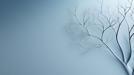 Minimalistic abstract gentle light blue background for product presentation with light and intricate shadow from tree branches on wall. : Generative AI