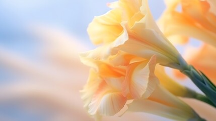 Close-up of a beautiful gladiolus flower. Great depth of field, selective focus, open aperture. Gladiolus, delicate, lilac with yellow color. Floral concept, postcard or template, copy : Generative AI - obrazy, fototapety, plakaty