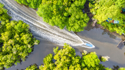 aerial view of mangrove forest at Sepilok Laut, Sabah Borneo, Malaysia.