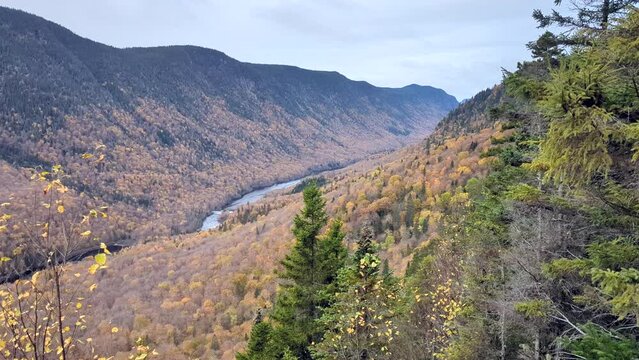 View of the Jacques-Cartier valley and river from the first lookout of the wolves trailhead in the Jacques Cartier National Park (Quebec, Canada). 