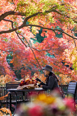 The girl and the old maple tree in the mountains