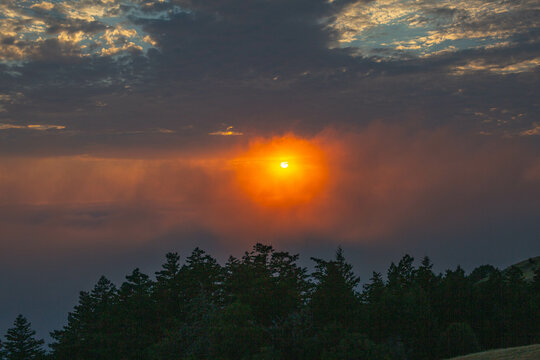 Coastal Foggy Sunset