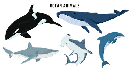 Set of ocean animals. Shark, whale, hammerhead shark, dolphin, orca, wildlife underwater animals vector illustration © Noarspace