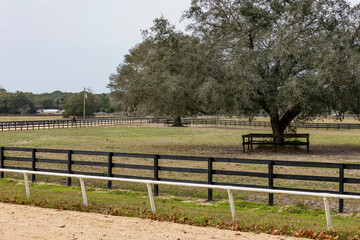 A view of a horse training track in Florida with a white rail and fenced infield pastures with...