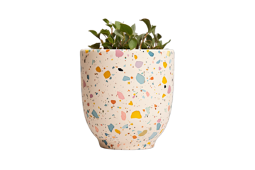 terrazzo potted on a transparent background