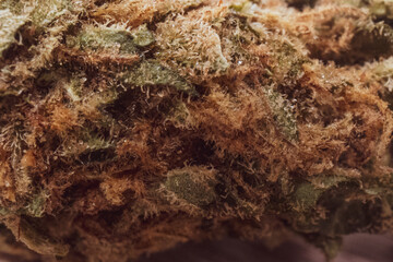 Marijuana for natural medicinal purposes 
