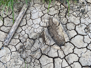 dry soil with cracks and cracked earth