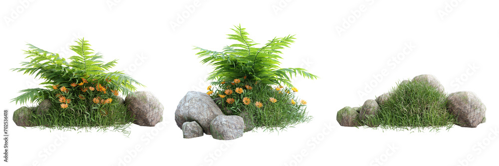 Poster group of fern leaves on transparent background 3d rendering png