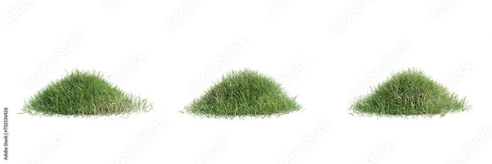 Poster collection green grass on transparent background 3d rendering png..
