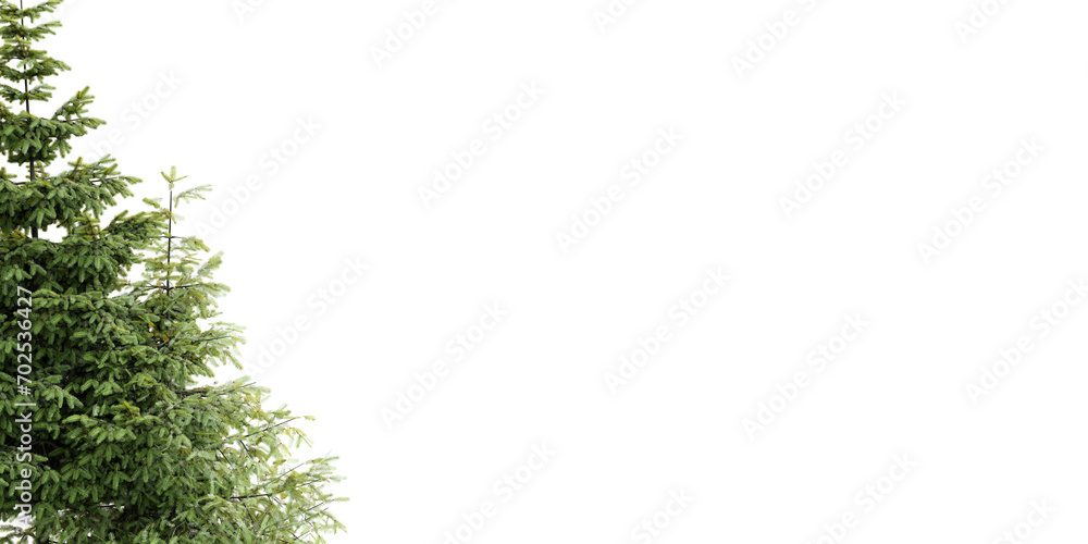 Poster fir tree isolated on transparent background 3d rendering png.
