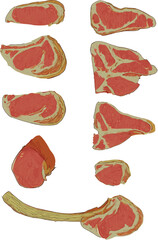various beef meat vector illustration