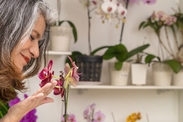 Woman touching the soft petals of an orchid at home