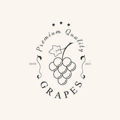 grapes line art design vector logo illustration.