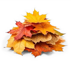 Heap of autumn leaves on isolate transparency background, PNG