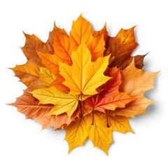 Heap of autumn leaves on isolate transparency background, PNG