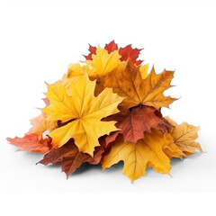 Naklejka na ściany i meble pile of autumn leaves on isolate transparency background, PNG