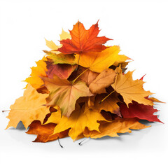 pile of autumn leaves on isolate transparency background, PNG