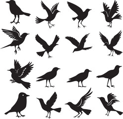 Bird's black silhouettes set. bird silhouettes on white background