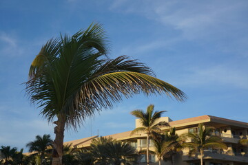 Fototapeta na wymiar hotel, resort, sky, build, architecture, holiday, plant, paradise, palm, tree, travel, tropical, background