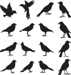 Fototapeta premium Bird's black silhouettes set. bird silhouettes on white background