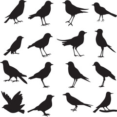 Bird's black silhouettes set. bird silhouettes on white background