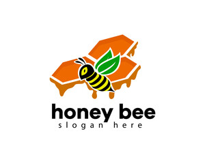 creative full color honey bee logo design template