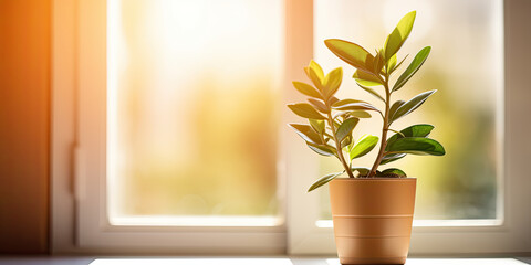 a green plant sits on a window sill, in the style of focus stacking, bright luster, generative AI