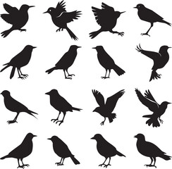 Bird's black silhouettes set. bird silhouettes. isolated on white background