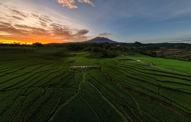 Beautiful terrace of Union Field in Argapura, Majalengka, West Java, Indonesia. 