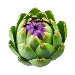 Fototapeta premium Floating Green Artichoke With A Purple Center