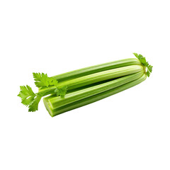 Fototapeta premium Fresh Green Leaf Stalks Of Celery, Without Shadow, solated Background