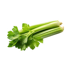 Fresh Green Leaf Stalks Of Celery, Without Shadow, solated Background