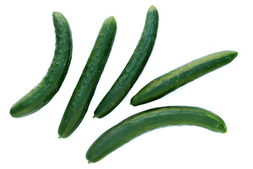 Fresh cucumber on white background